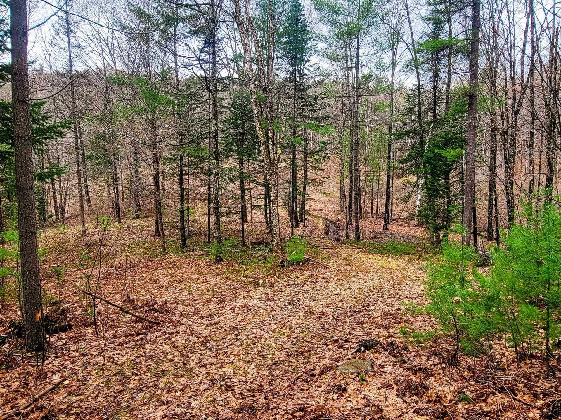 2775 Symes Pond Road Ryegate VT 05402