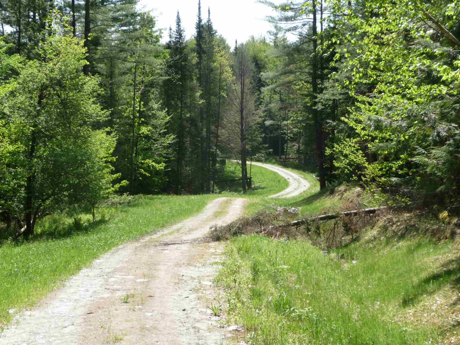 520 Bertha Springs Road Waitsfield VT 05673
