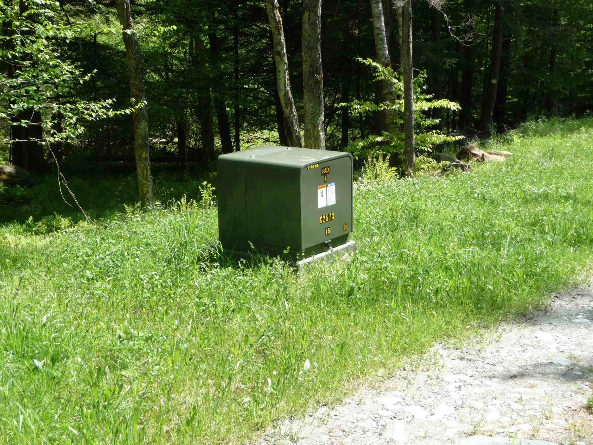 520 Bertha Springs Road Waitsfield VT 05673