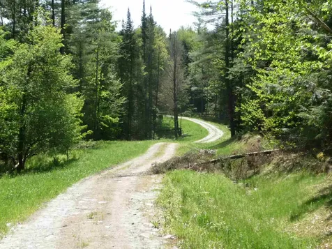 520 Bertha Springs Road Waitsfield VT 05673