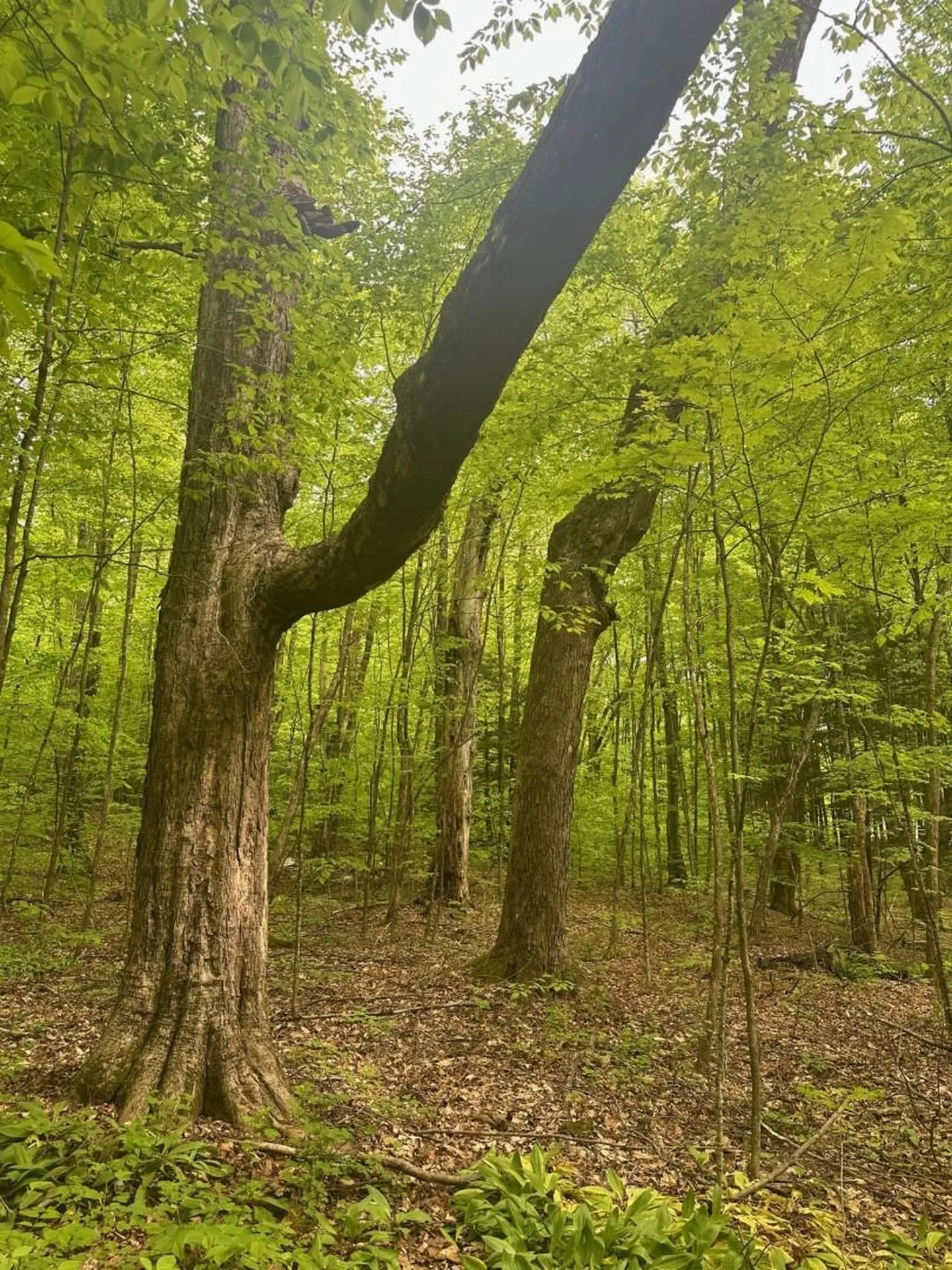 0 Observatory Road Hinesburg VT 05461