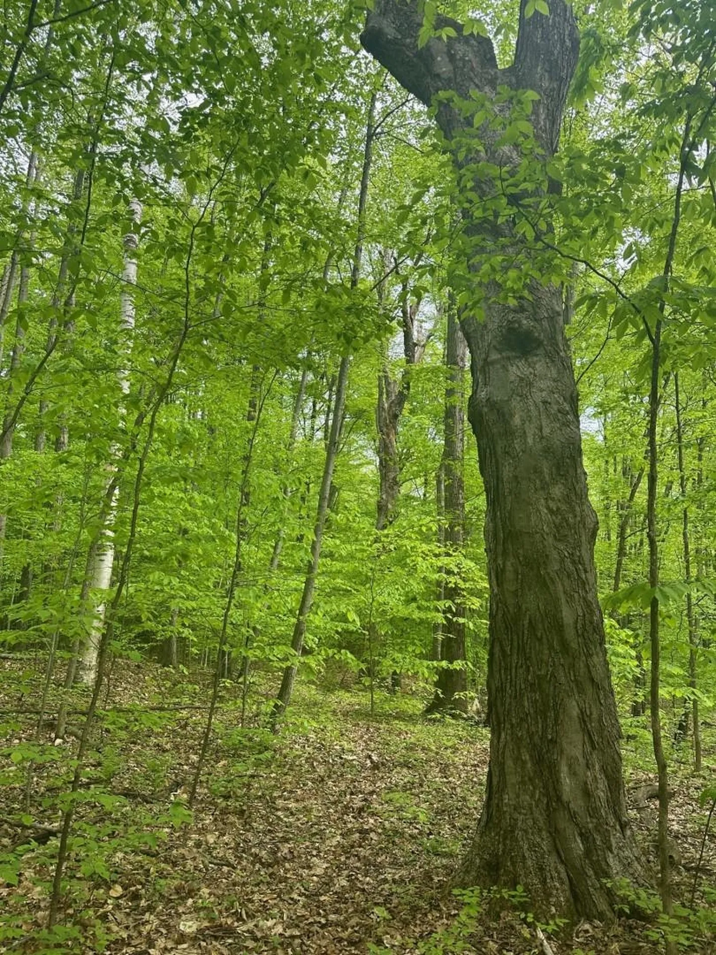 0 Observatory Road Hinesburg VT 05461