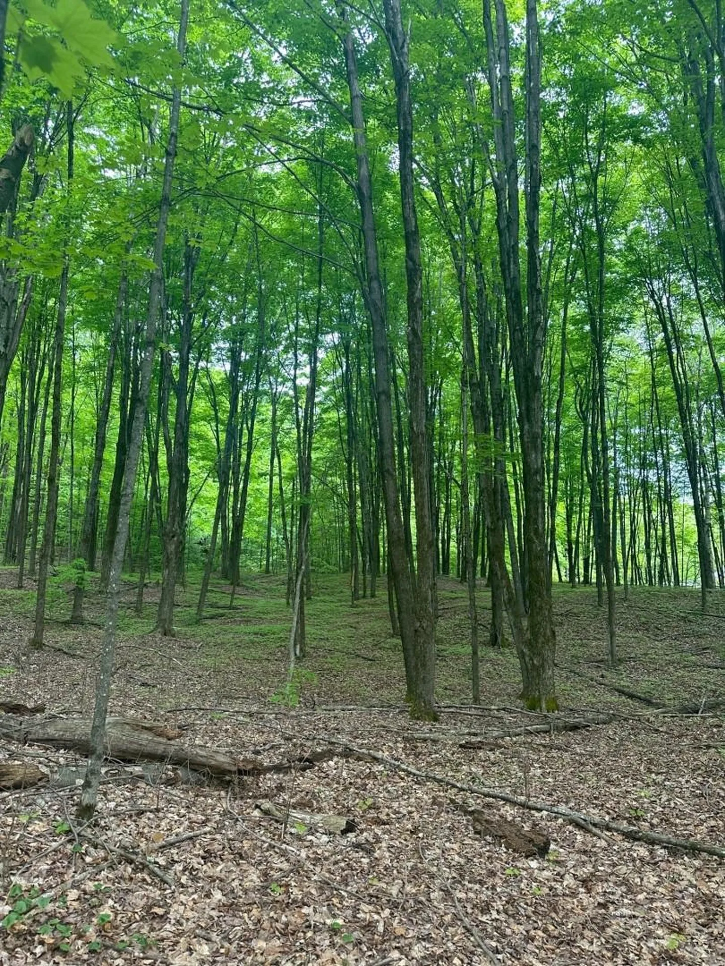 0 Observatory Road Hinesburg VT 05461