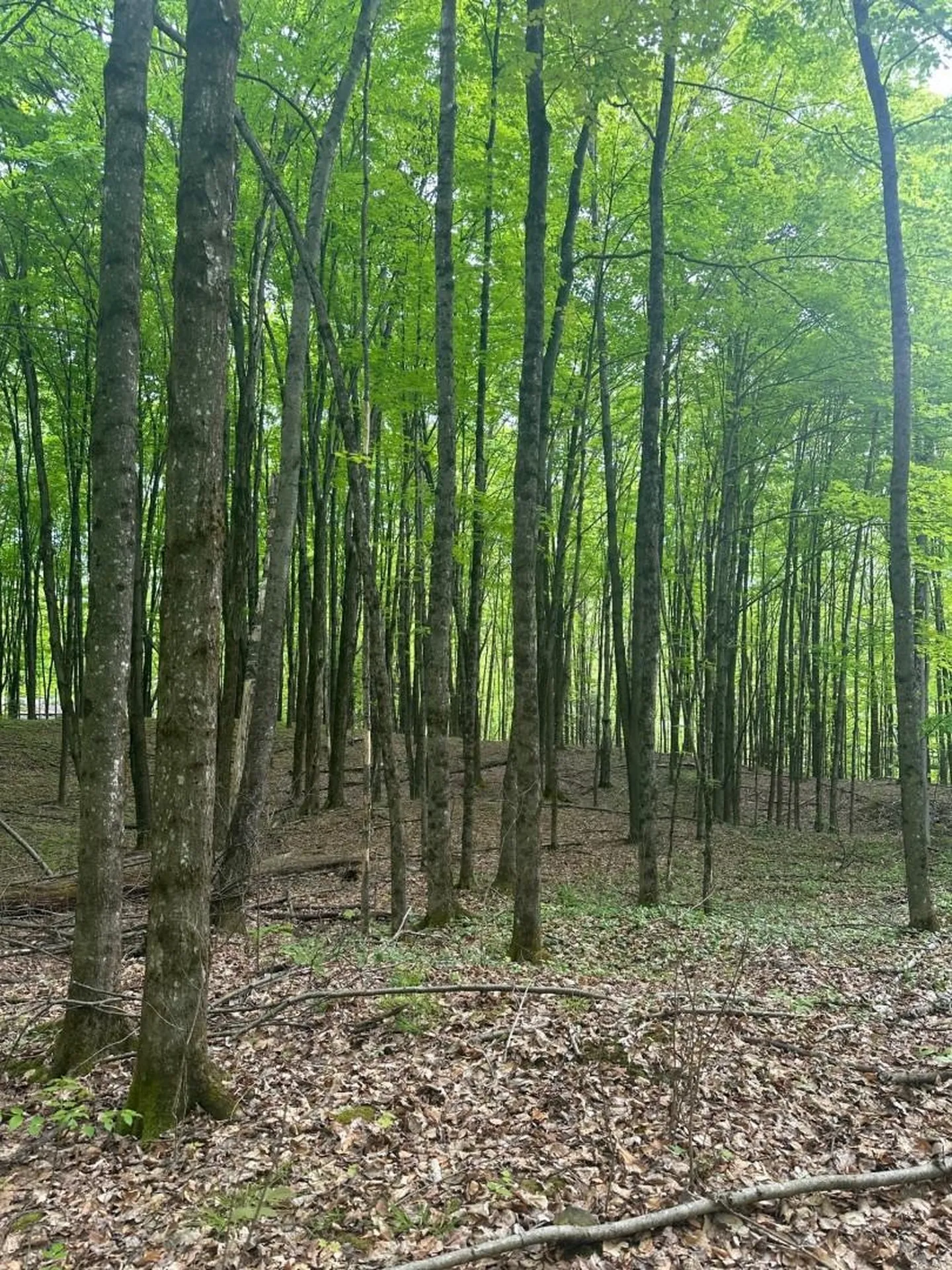 0 Observatory Road Hinesburg VT 05461