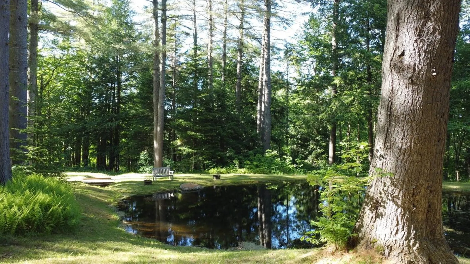 1379 Reilly Road Londonderry VT 05148