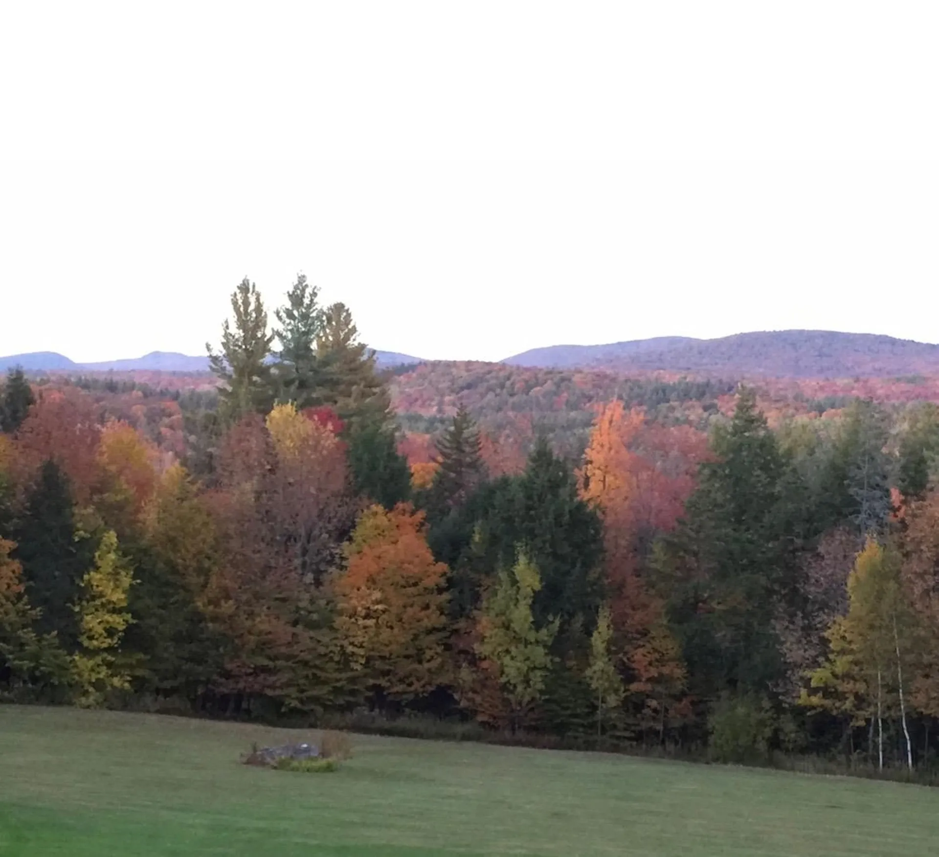 1379 Reilly Road Londonderry VT 05148