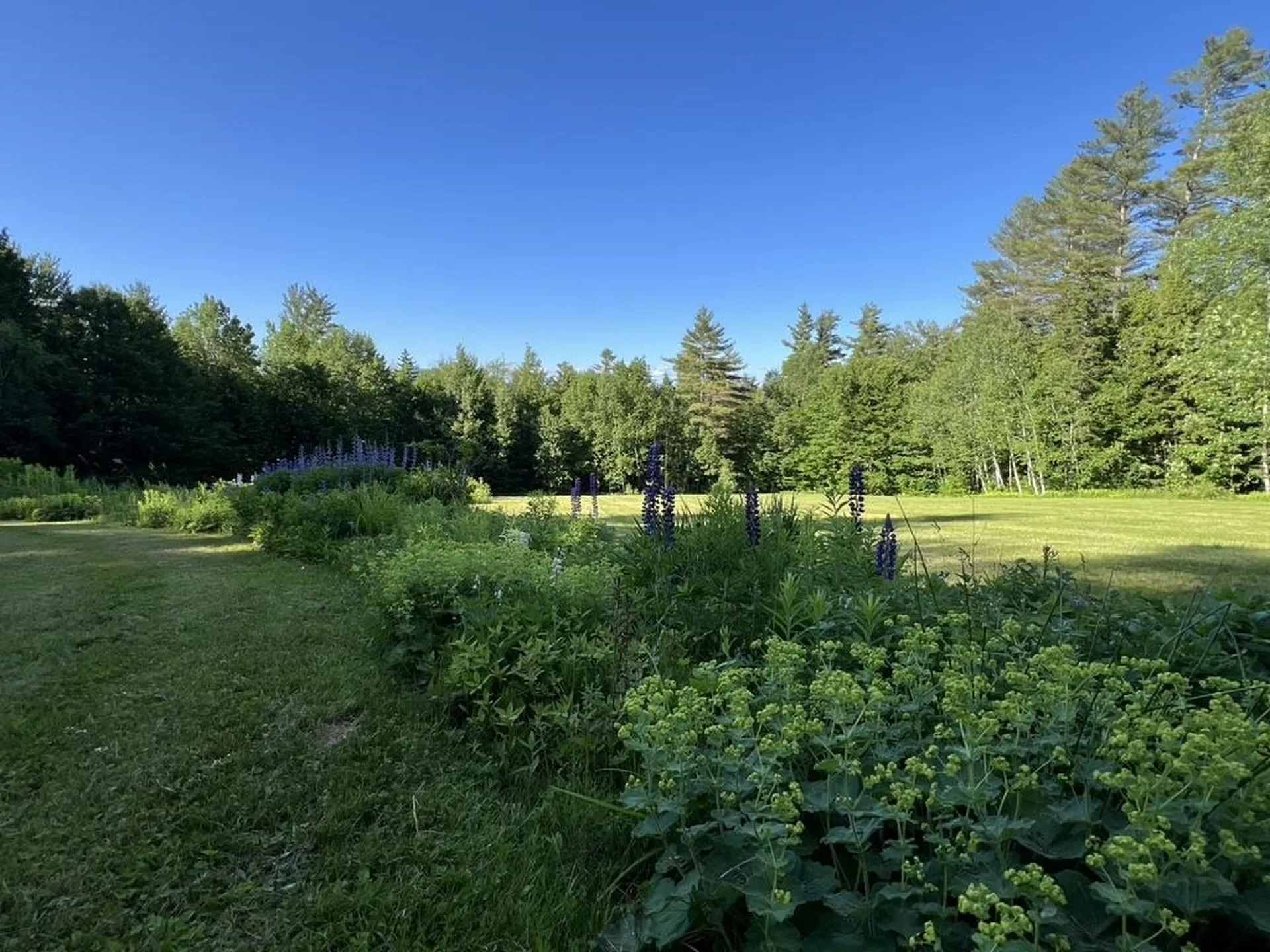 1379 Reilly Road Londonderry VT 05148