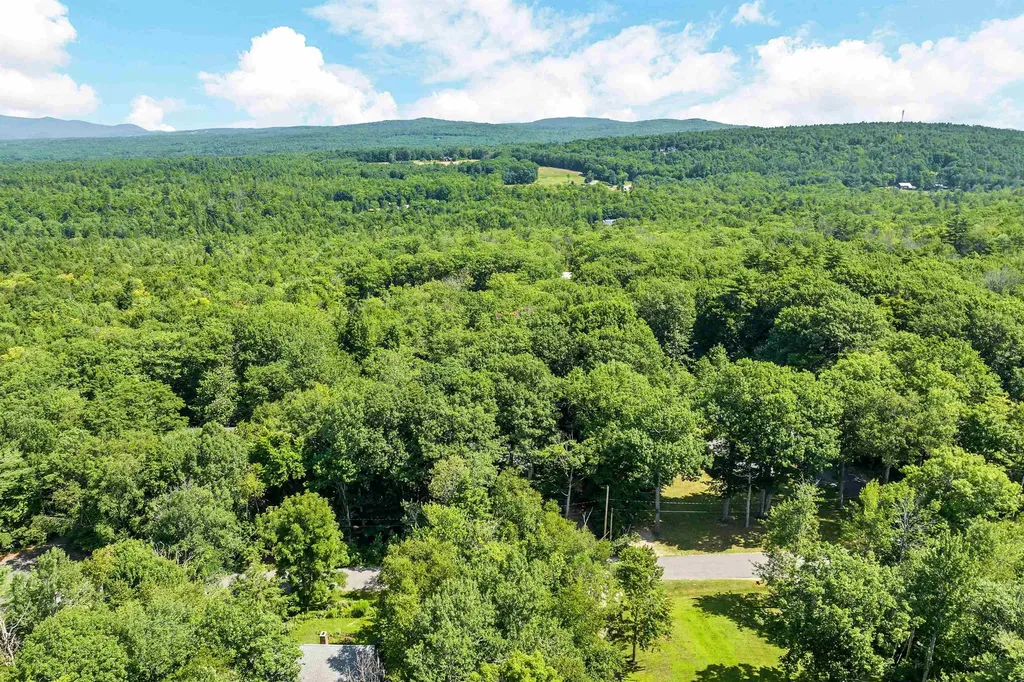 9 Council Tree Lane Wolfeboro NH 03894