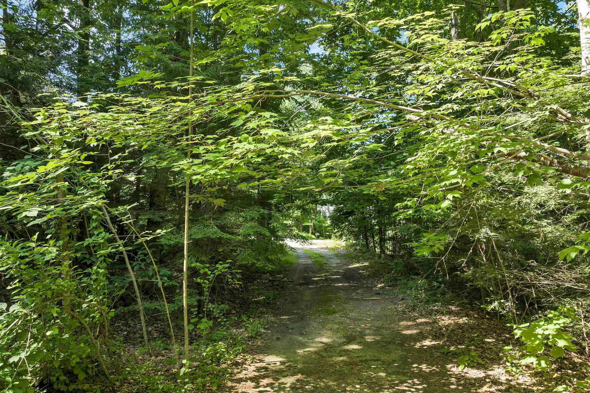 9 Council Tree Lane Wolfeboro NH 03894