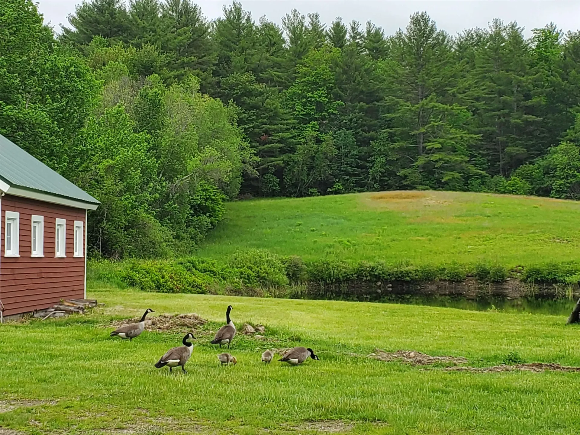 538 Nh Route 118 Canaan NH 03741