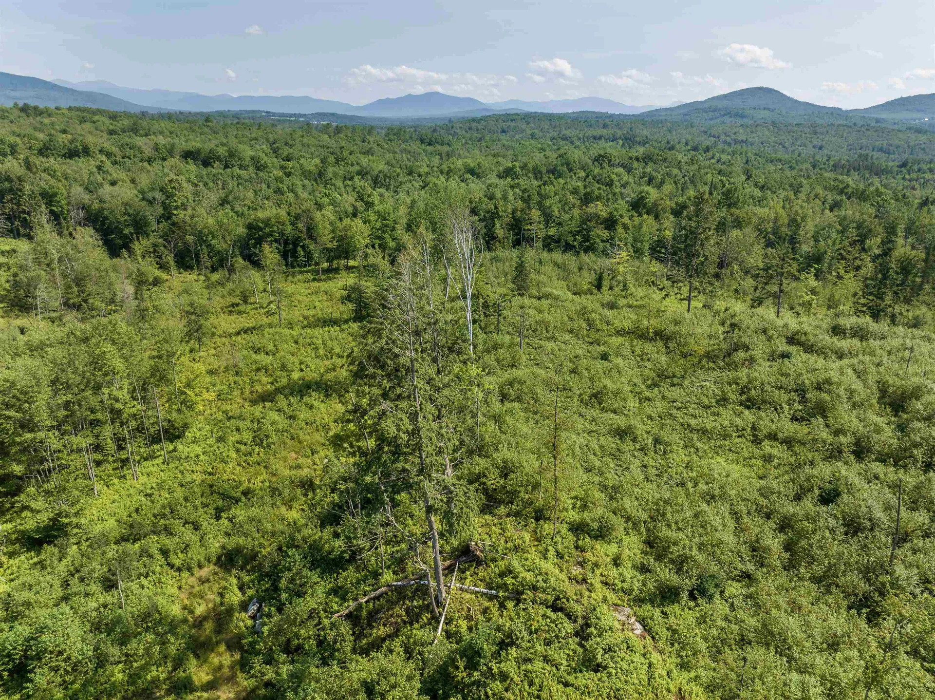 Lots 7 & 8 Kelsea Drive Lancaster NH 03584