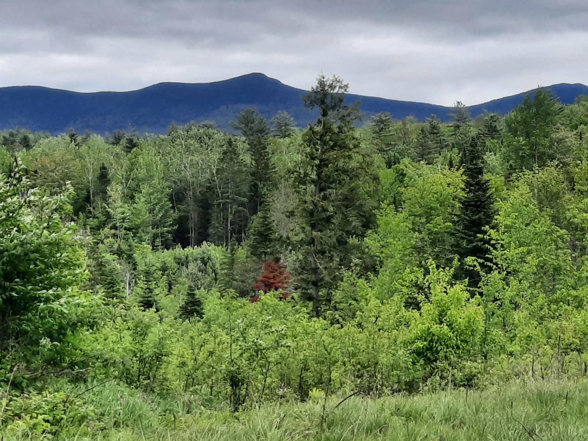 Lots 7 & 8 Kelsea Drive Lancaster NH 03584