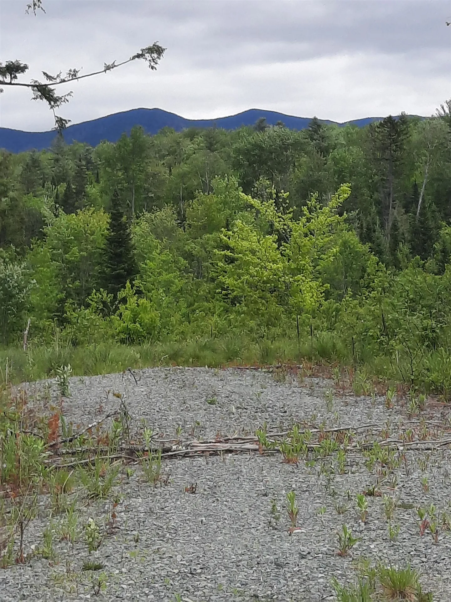 Lots 7 & 8 Kelsea Drive Lancaster NH 03584