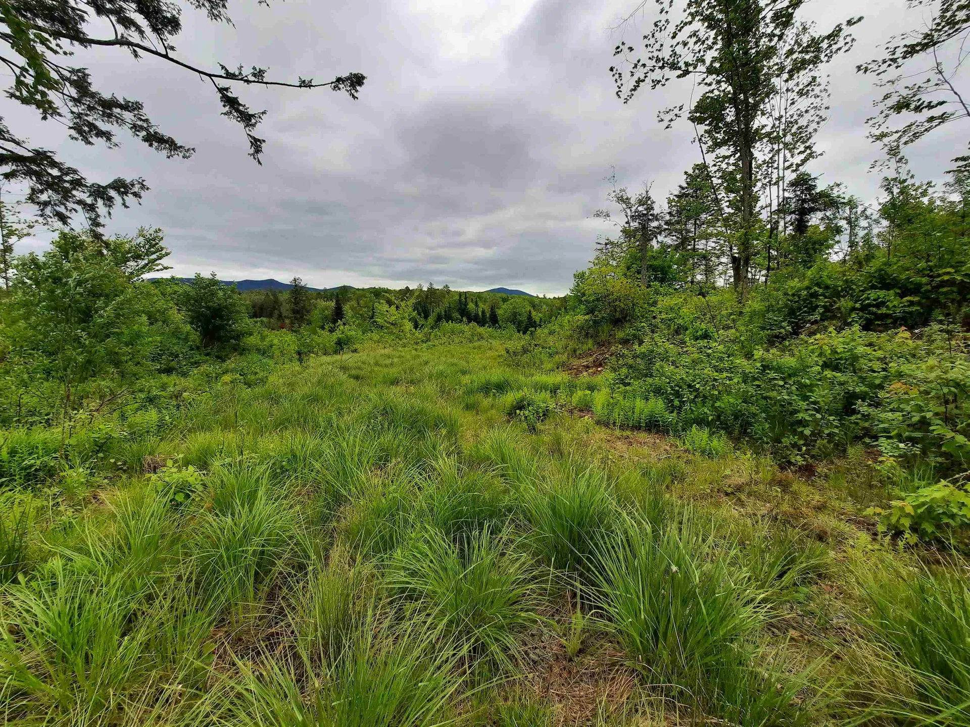 Lots 7 & 8 Kelsea Drive Lancaster NH 03584