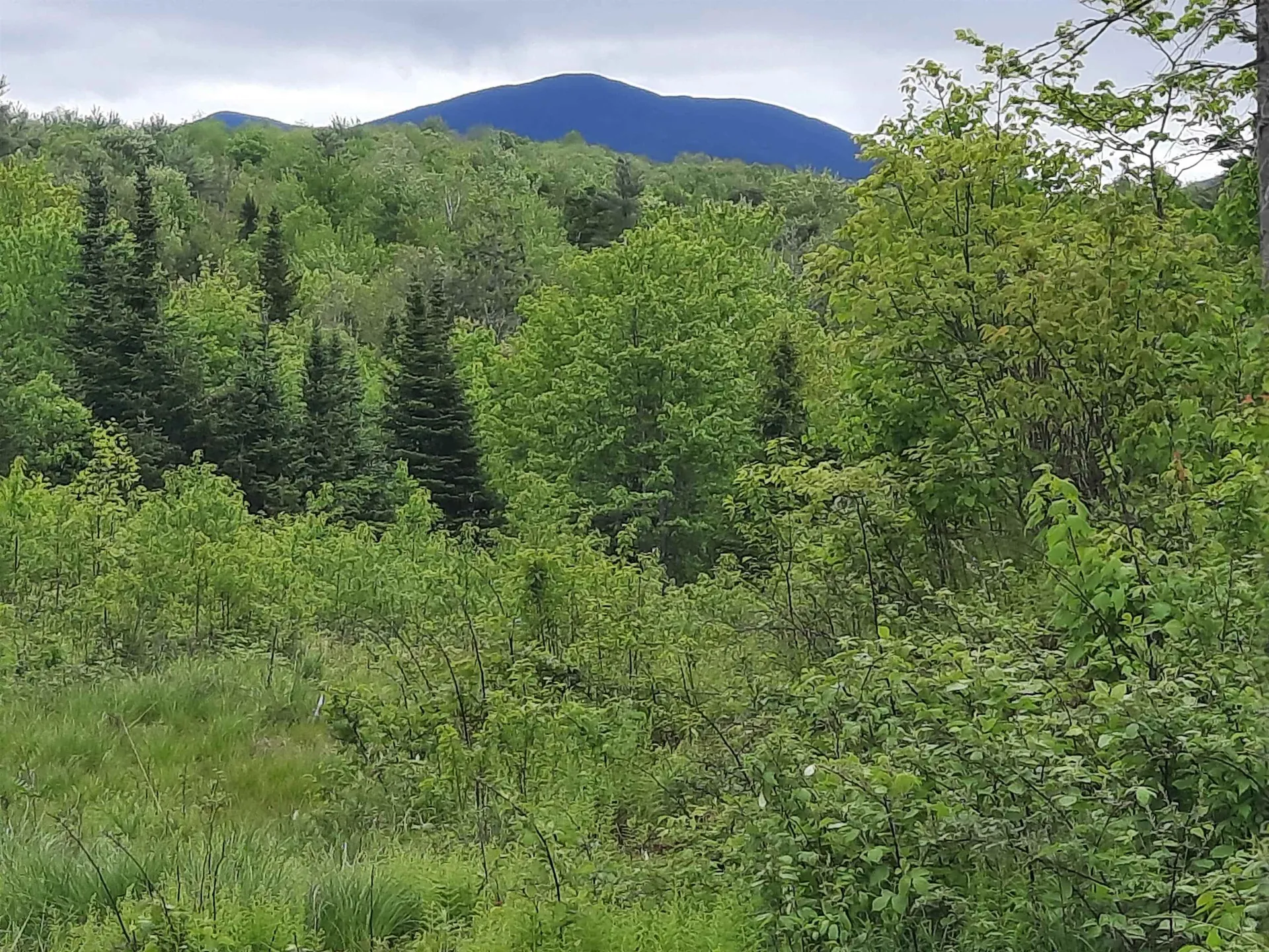 Lots 7 & 8 Kelsea Drive Lancaster NH 03584