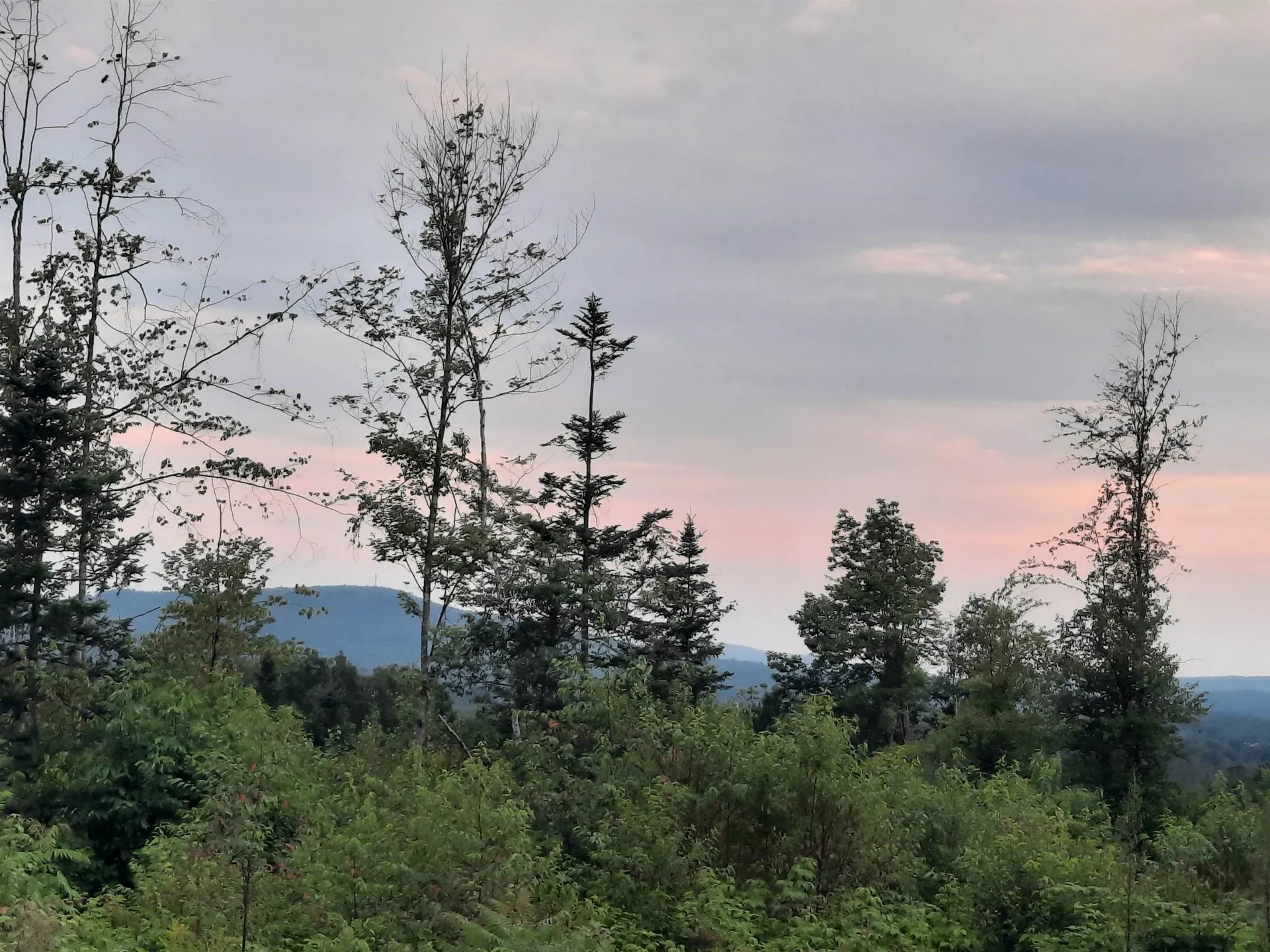 Lots 7 & 8 Kelsea Drive Lancaster NH 03584