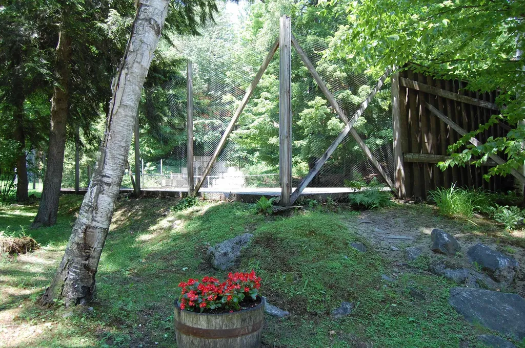 15 Timberline Drive Warren VT 05674