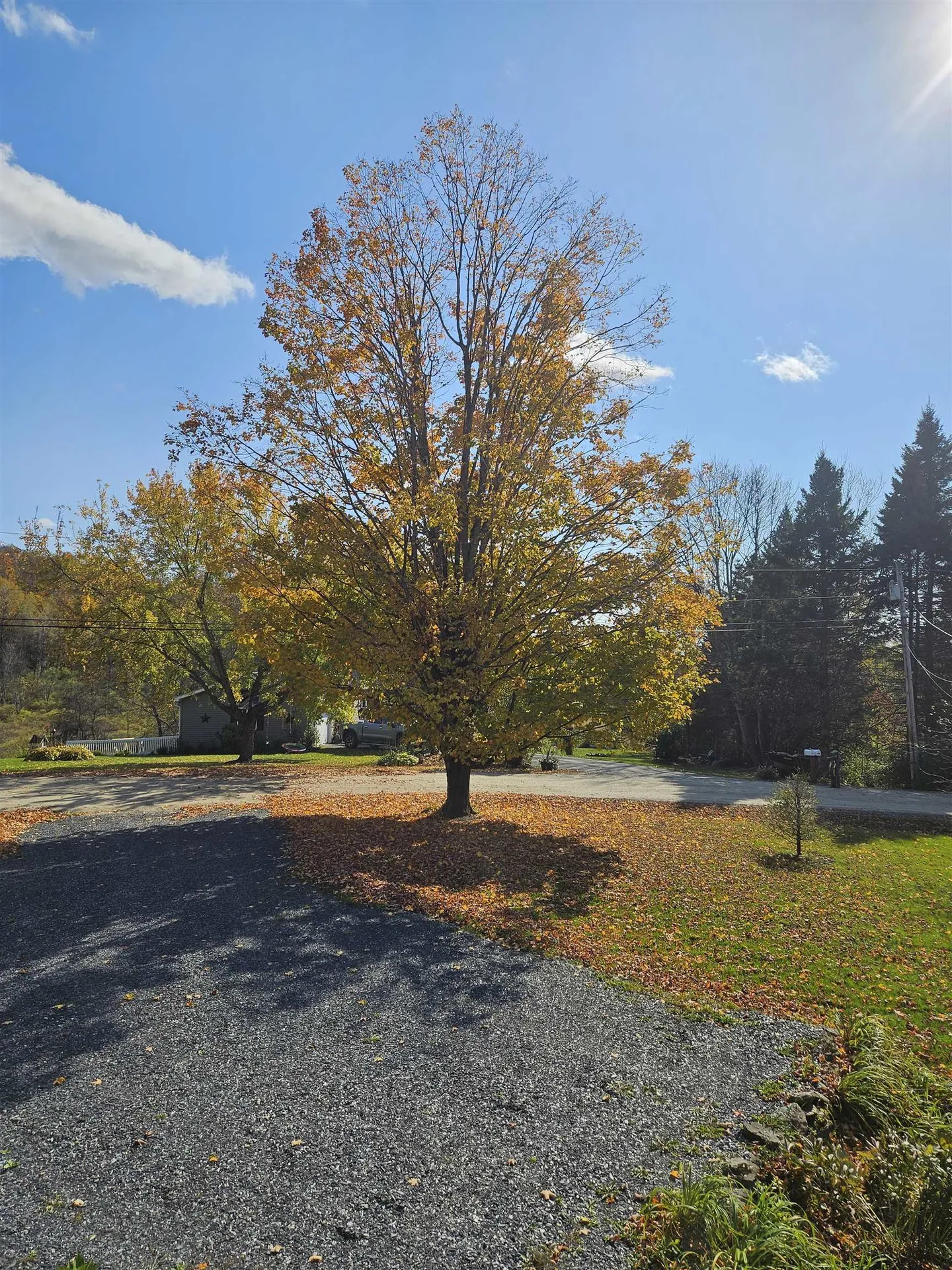 417 Spruce Haven Road Waterbury VT 05677