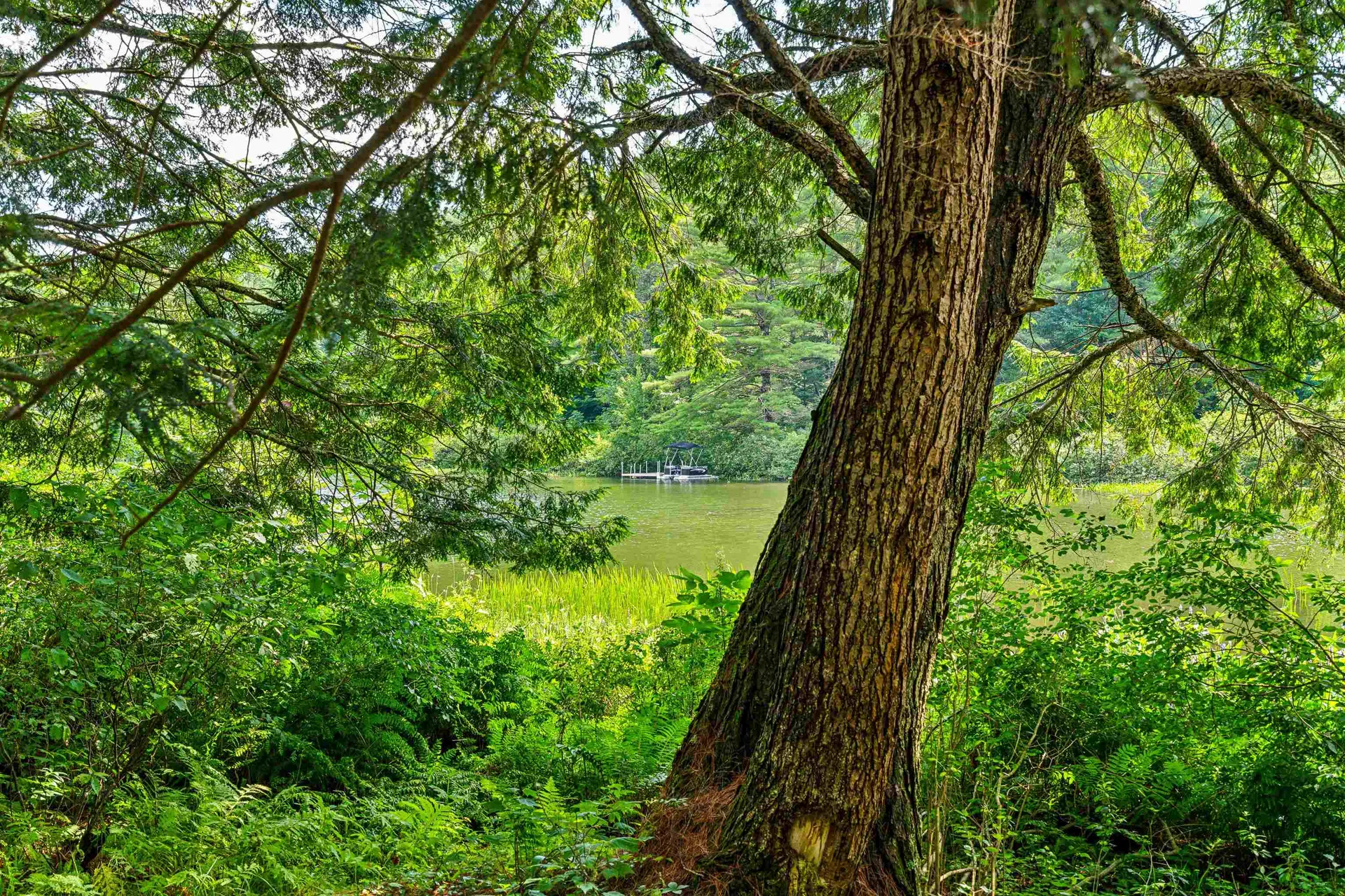240 Spruce Drive Ryegate VT 05069