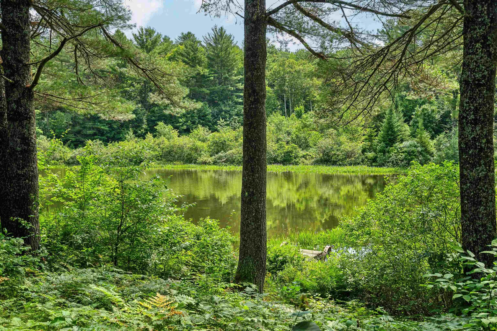 240 Spruce Drive Ryegate VT 05069