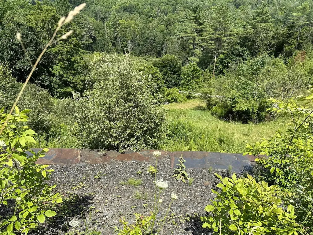 2389 Vt Route 14 Woodbury VT 05681