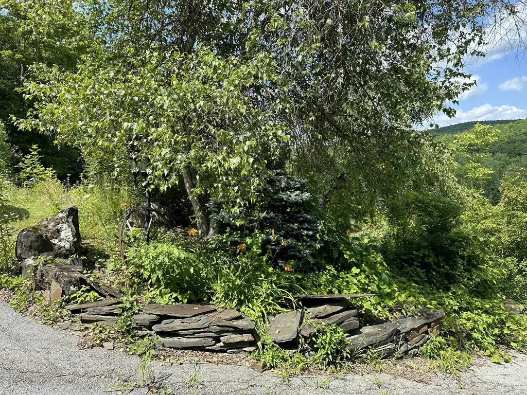 2389 Vt Route 14 Woodbury VT 05681