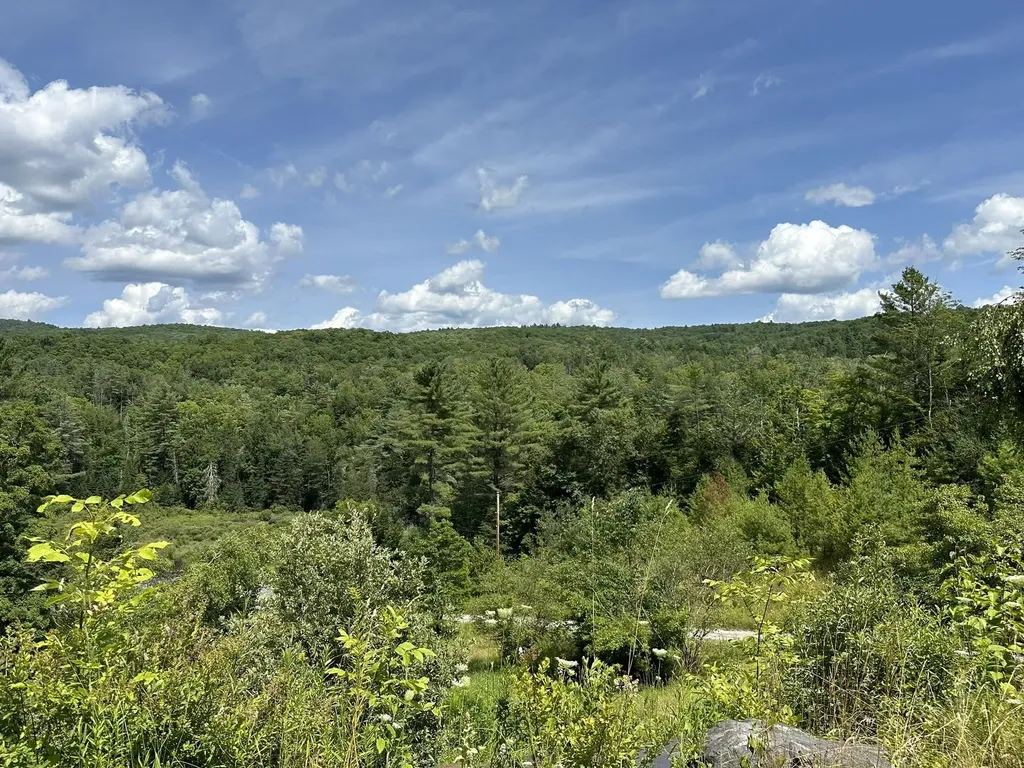 2389 Vt Route 14 Woodbury VT 05681