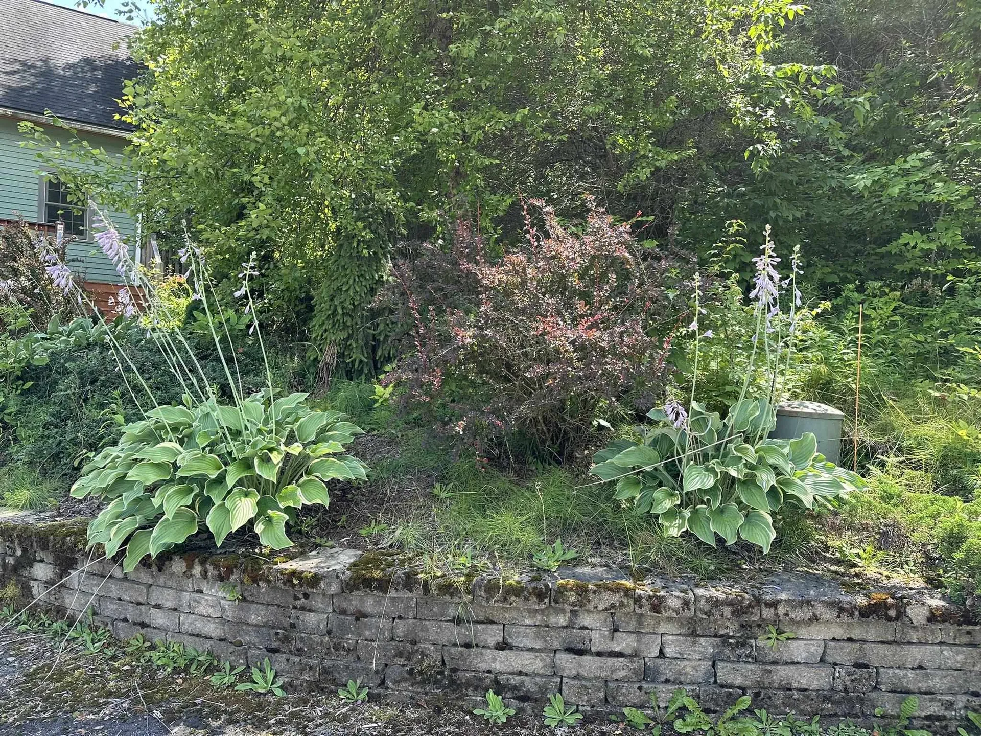 2389 Vt Route 14 Woodbury VT 05681