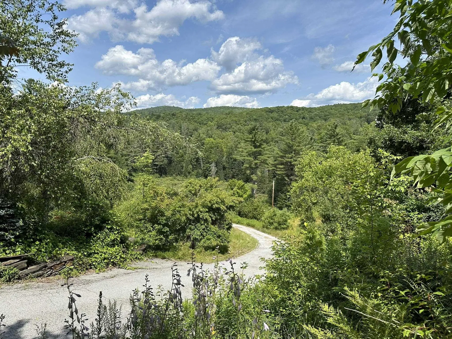 2389 Vt Route 14 Woodbury VT 05681