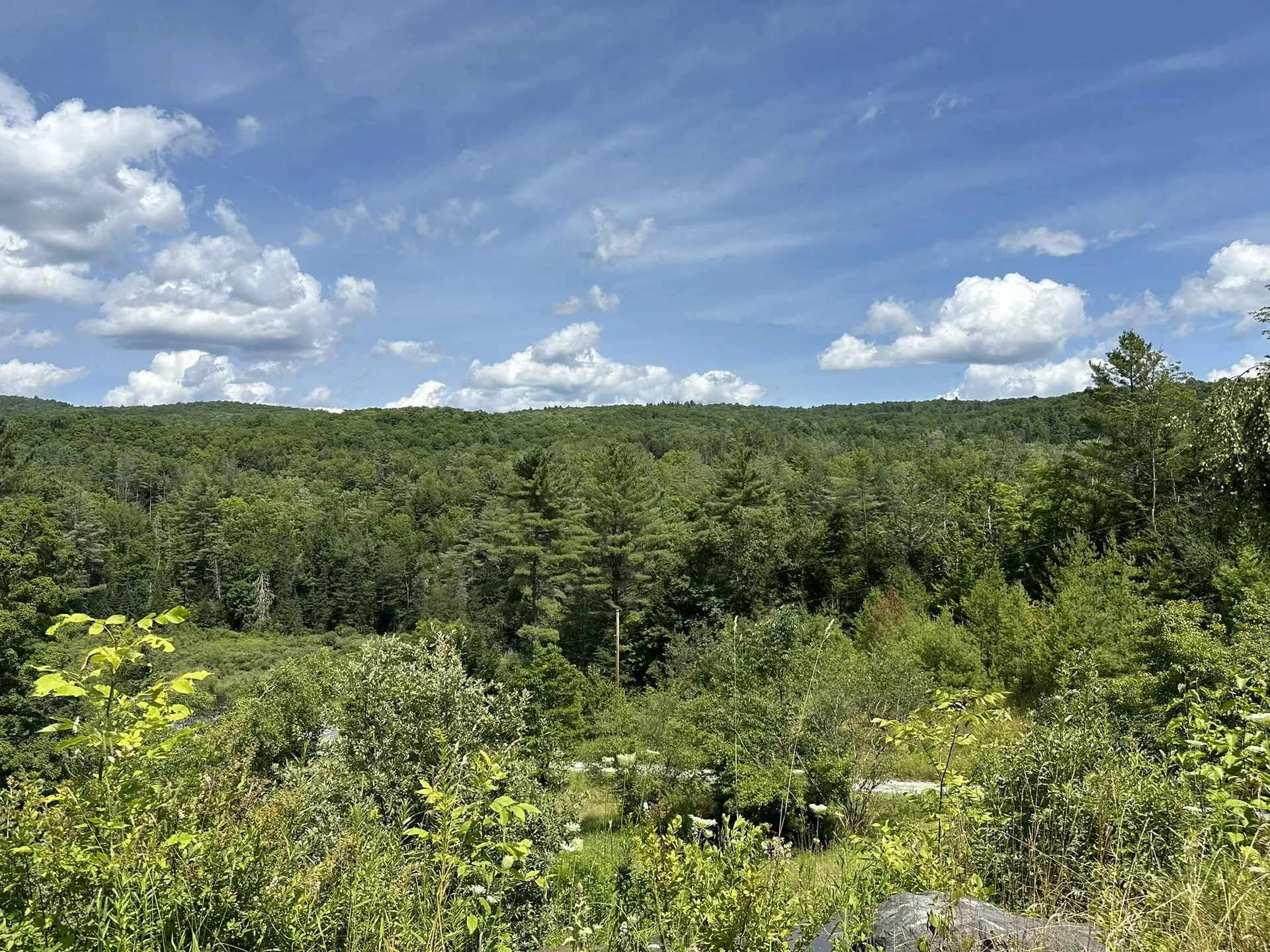 2389 Vt Route 14 Woodbury VT 05681