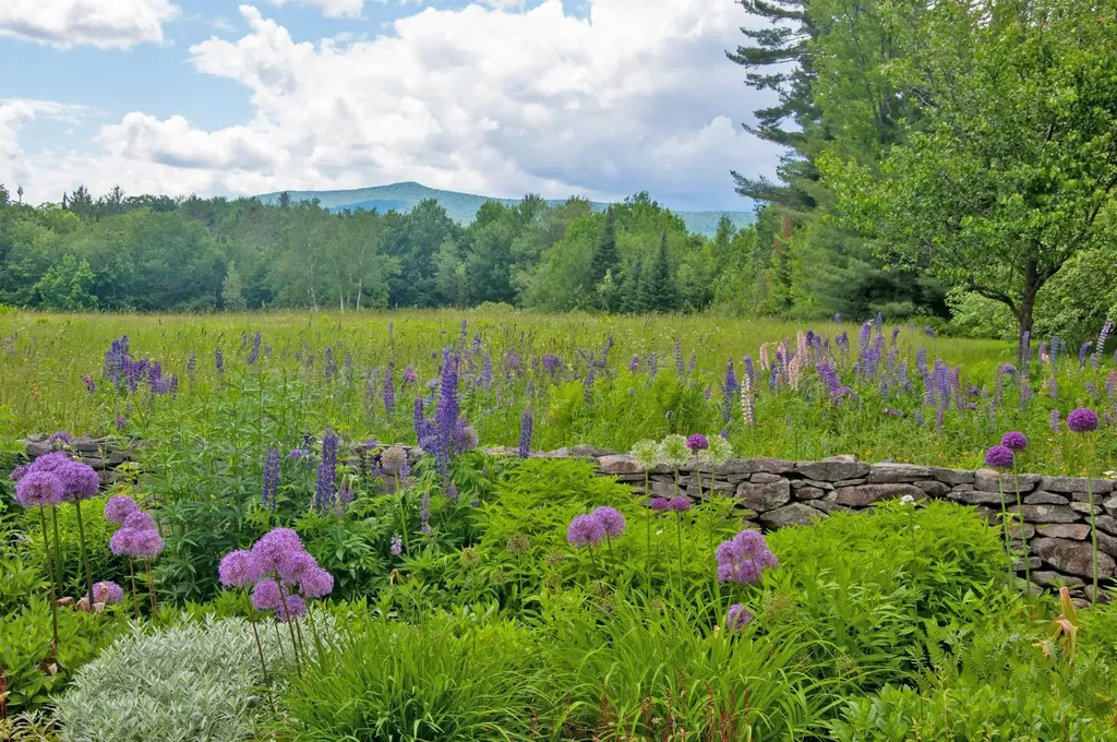 46 Uphill Road Landgrove VT 05148