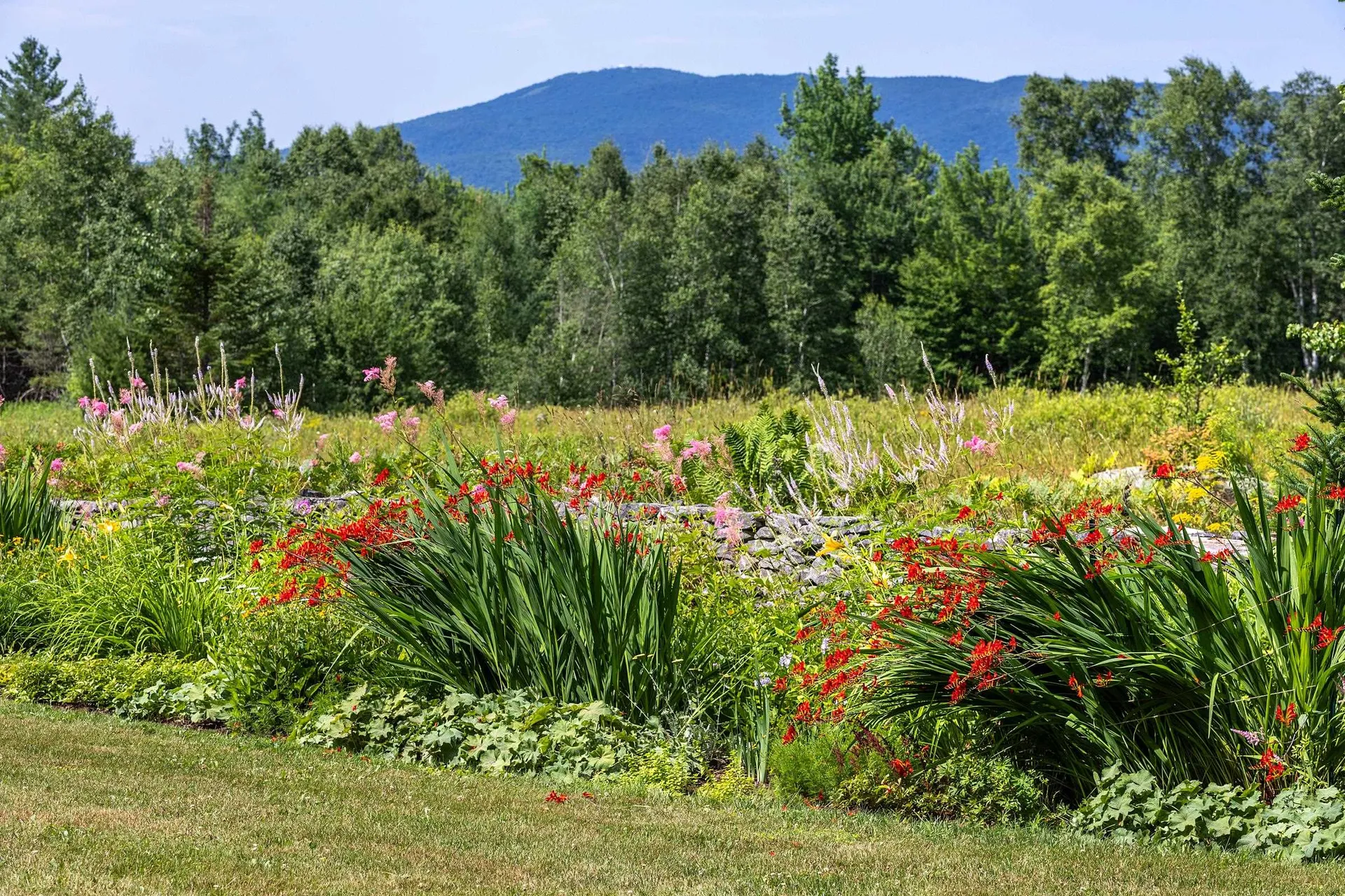 46 Uphill Road Landgrove VT 05148