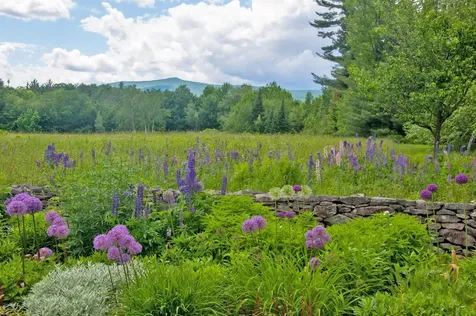 46 Uphill Road Landgrove VT 05148
