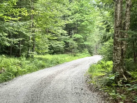 2656 Weston Andover Road Andover VT 05143