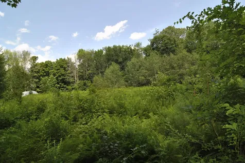 Lot 15-1 East Deering Road Deering NH 03244
