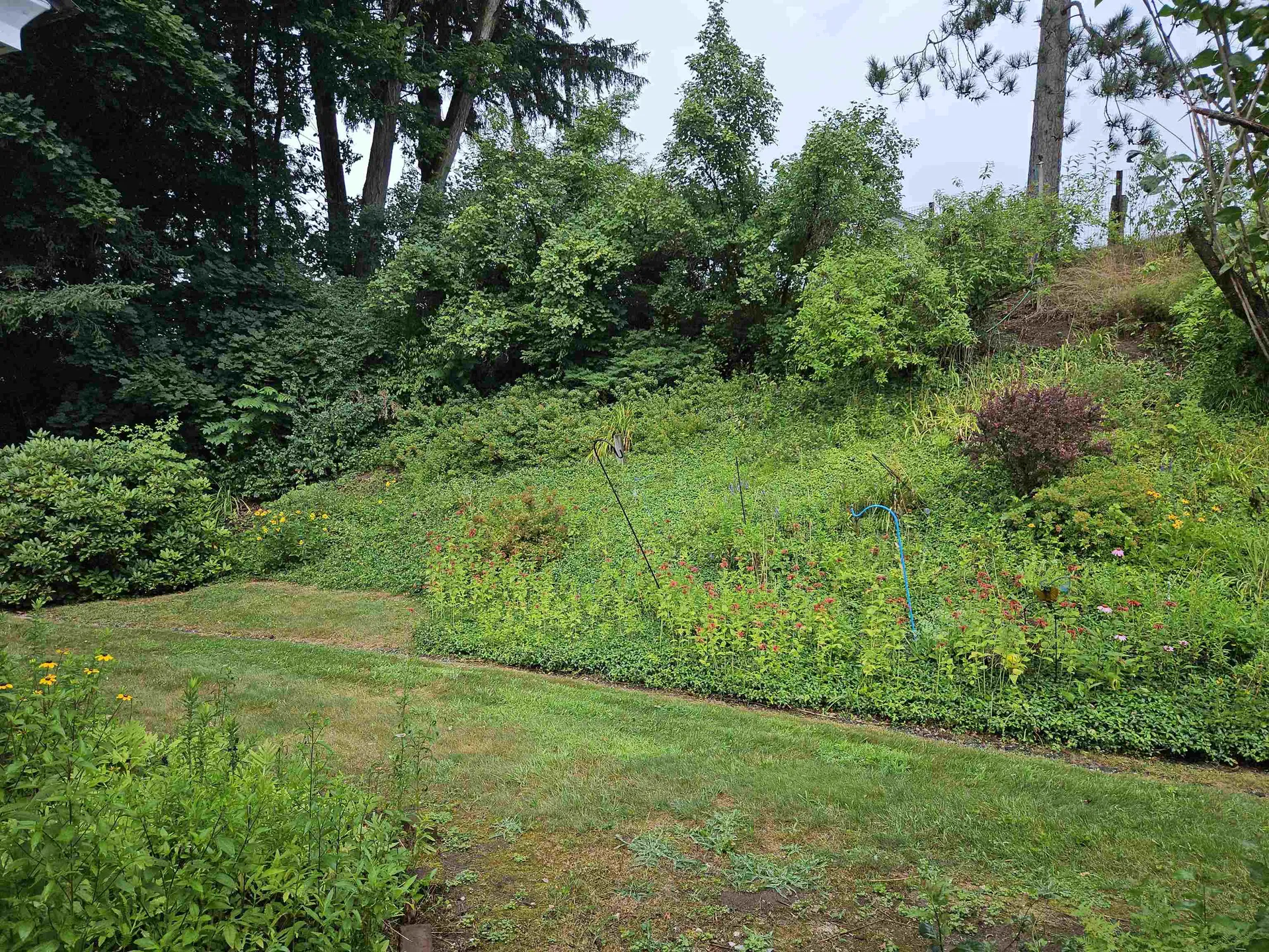 19 Mack Avenue Lebanon NH 03784