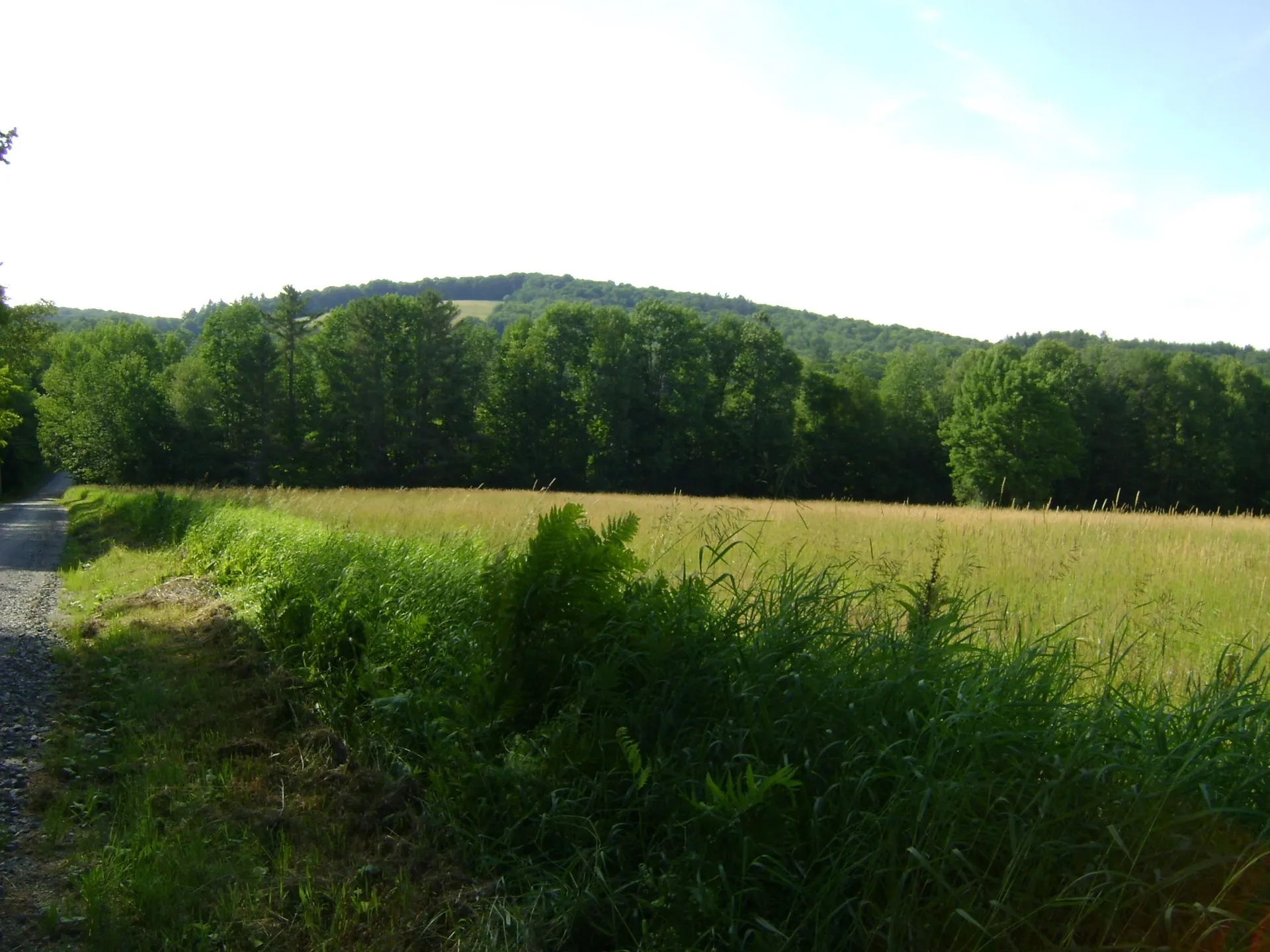 0 Miller Pond Road Strafford VT 05072