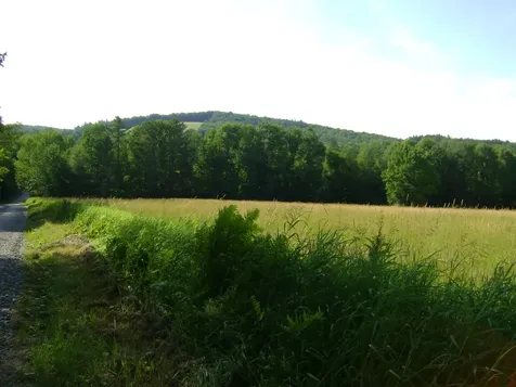 0 Miller Pond Road Strafford VT 05072