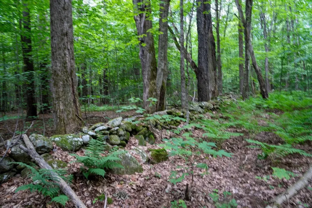 0 West Hill Road South Jamaica VT 05343