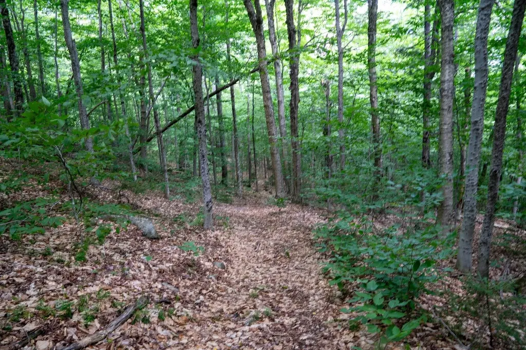 0 West Hill Road South Jamaica VT 05343