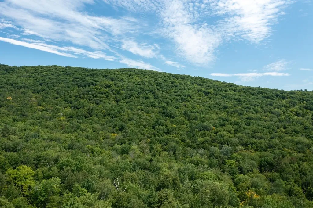 0 West Hill Road South Jamaica VT 05343