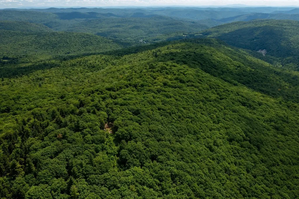 0 West Hill Road South Jamaica VT 05343