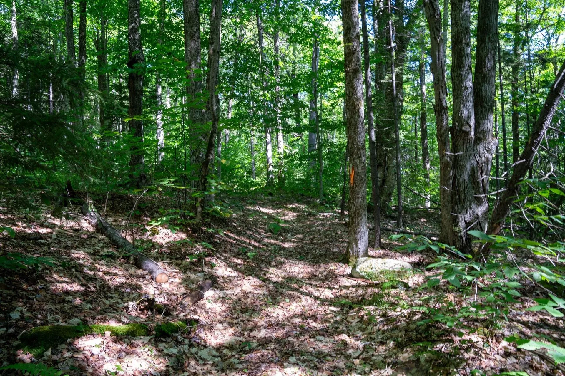 0 West Hill Road South Jamaica VT 05343