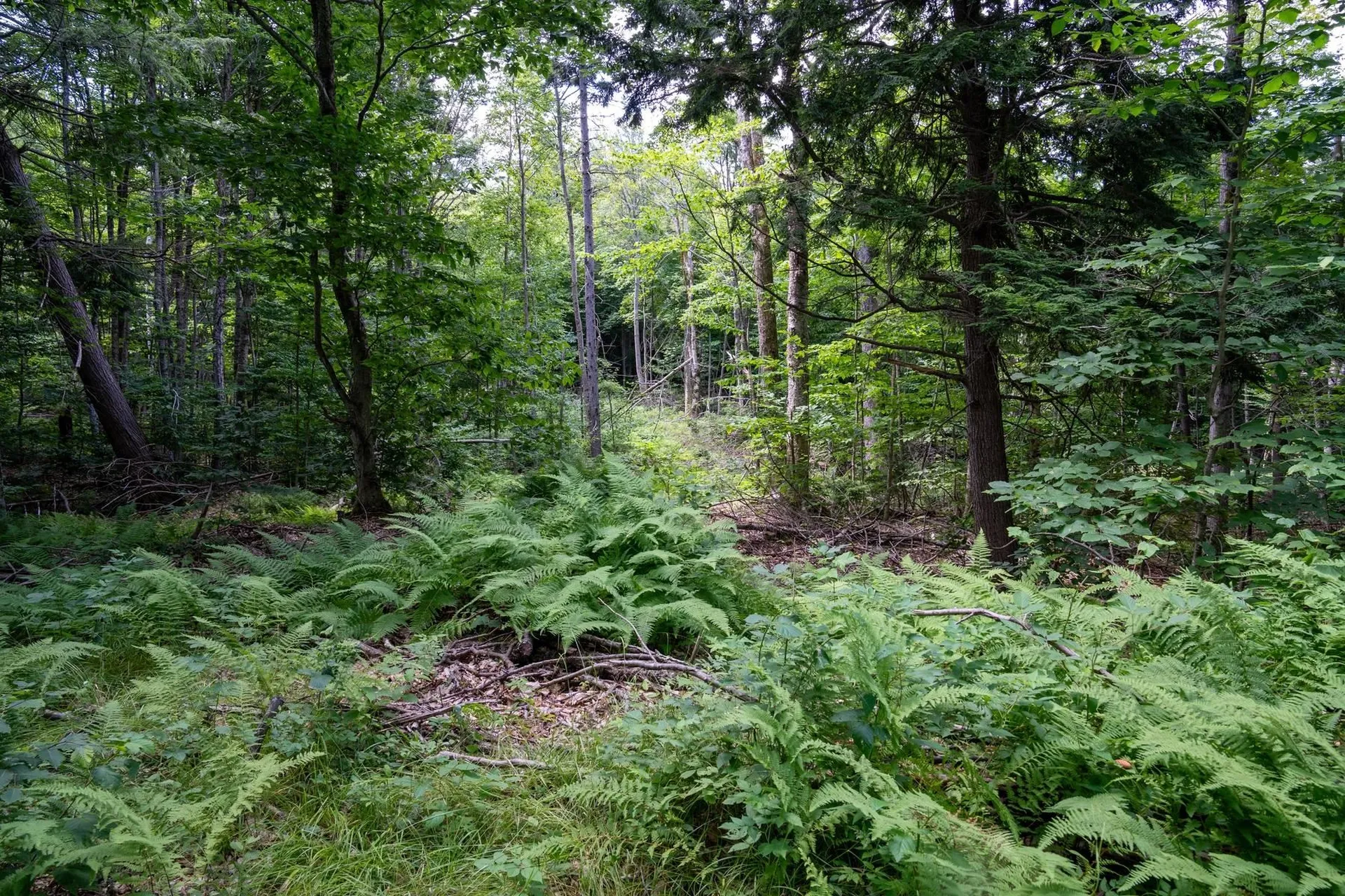 0 West Hill Road South Jamaica VT 05343