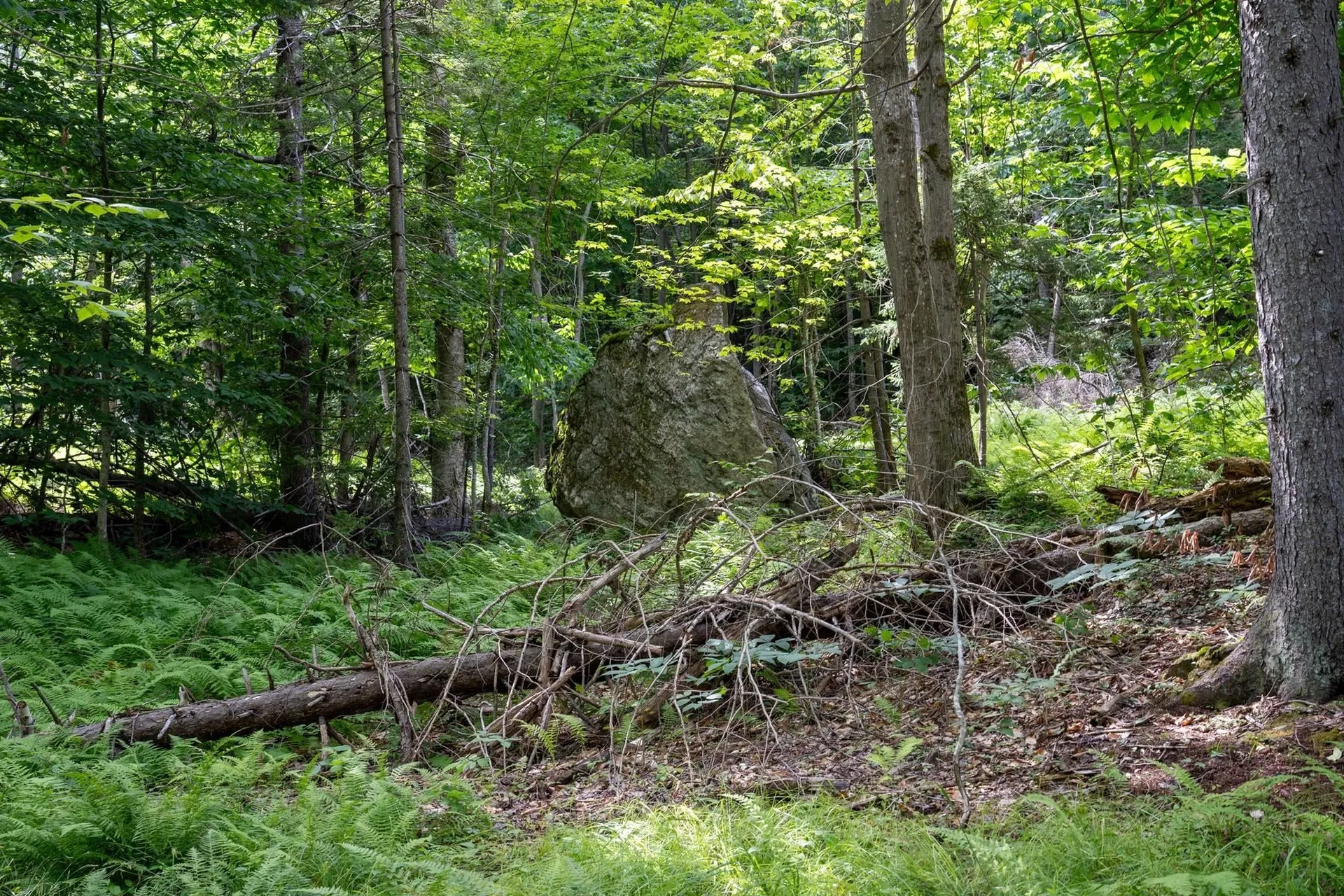 0 West Hill Road South Jamaica VT 05343