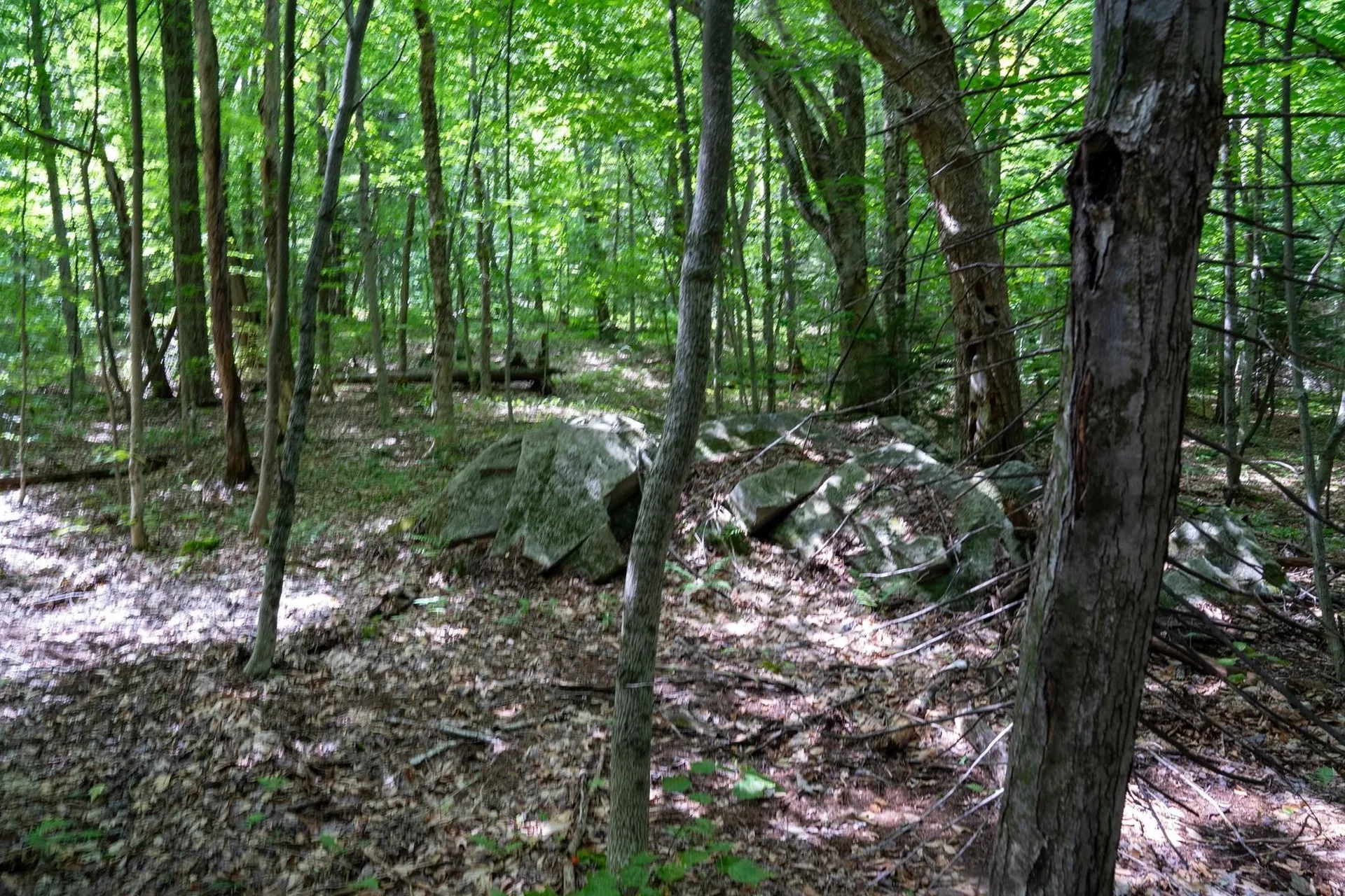 0 West Hill Road South Jamaica VT 05343