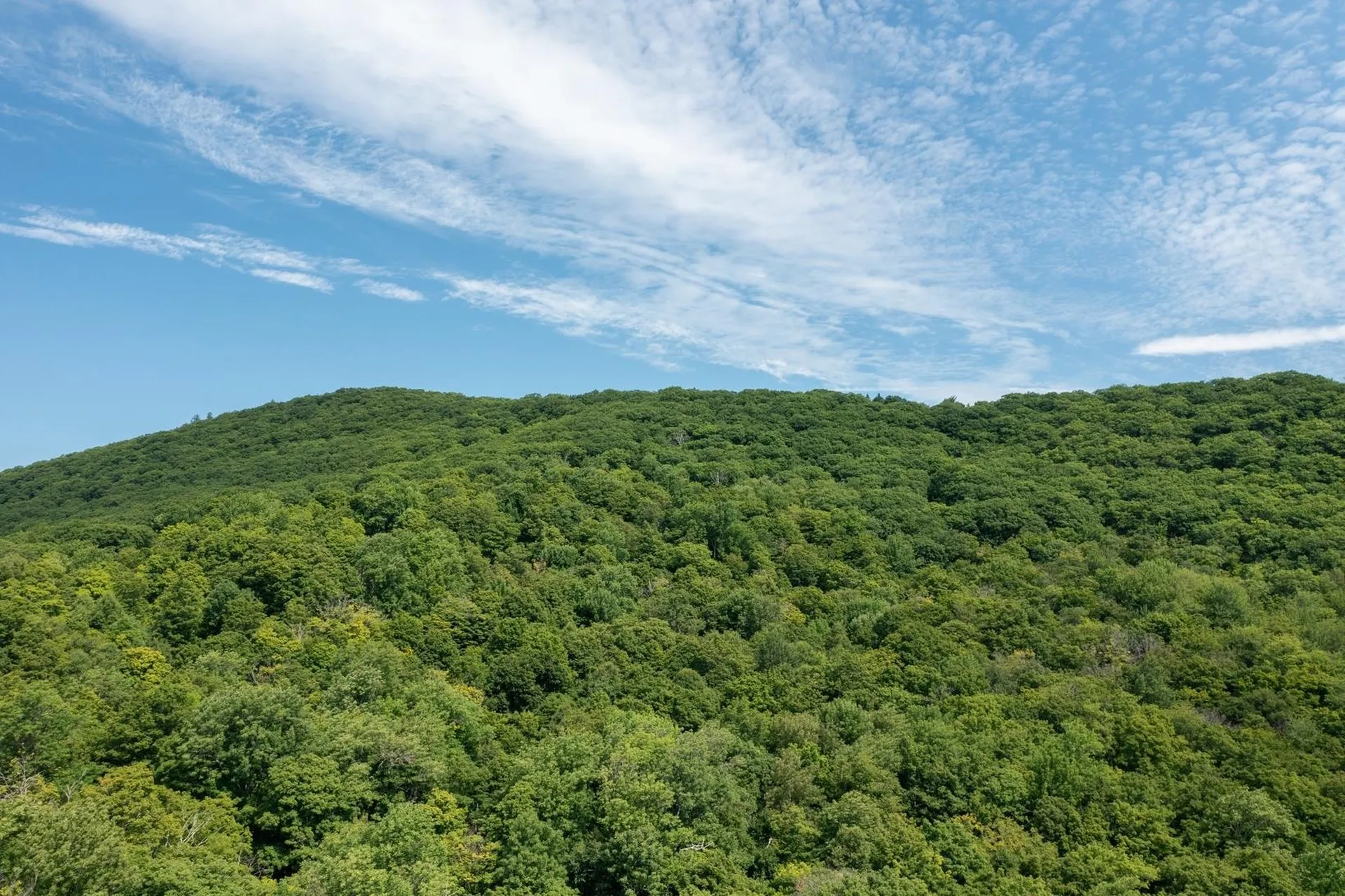 0 West Hill Road South Jamaica VT 05343