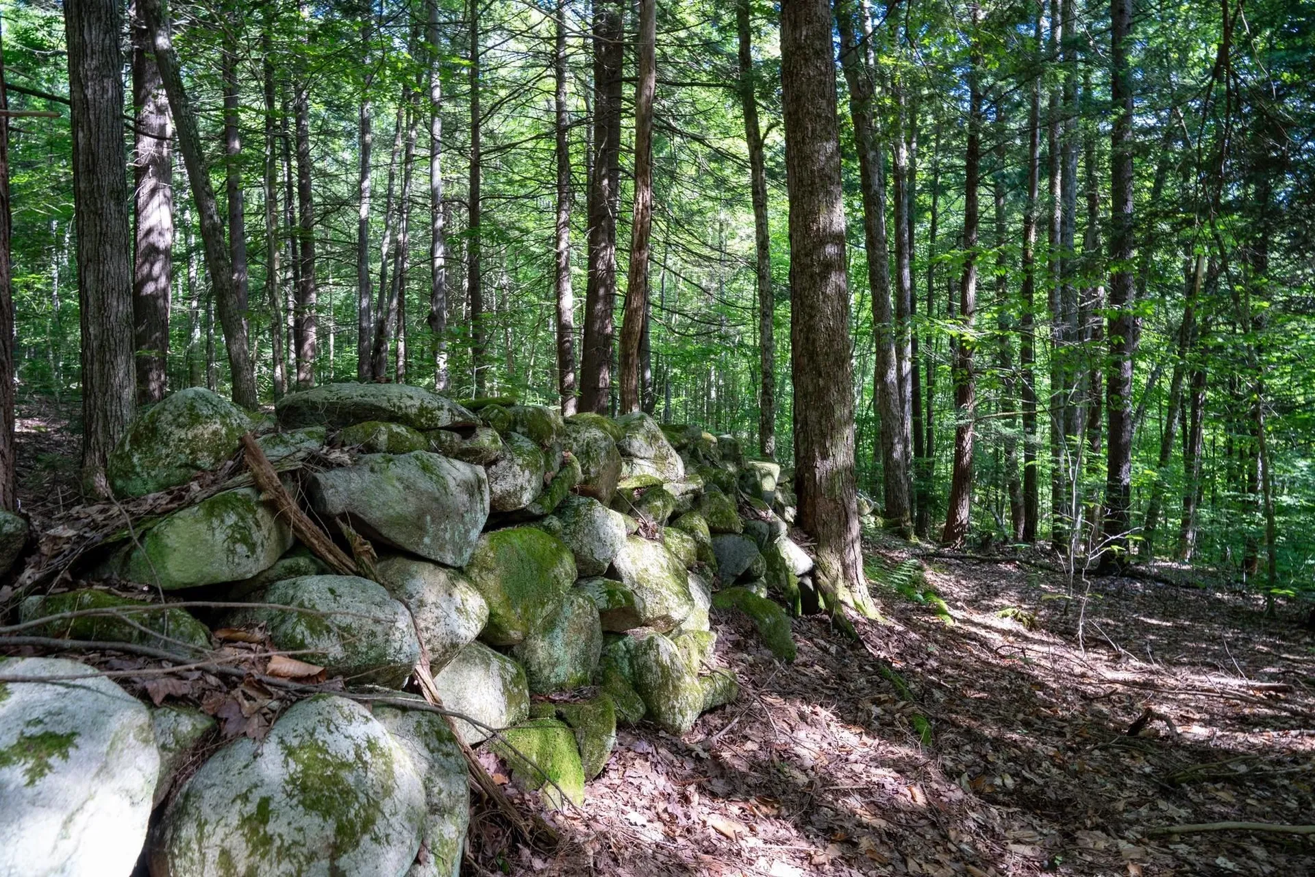 0 West Hill Road South Jamaica VT 05343