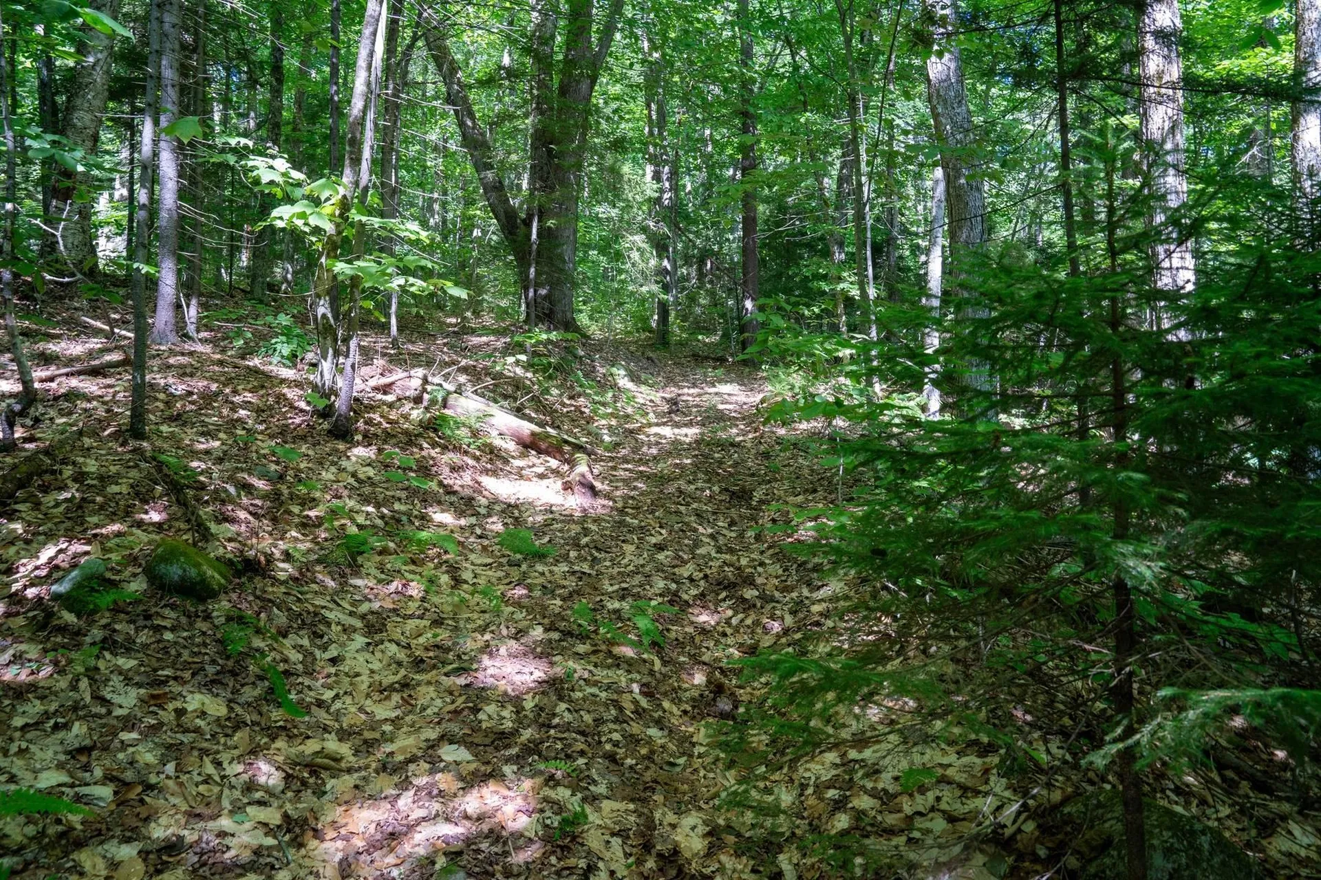 0 West Hill Road South Jamaica VT 05343