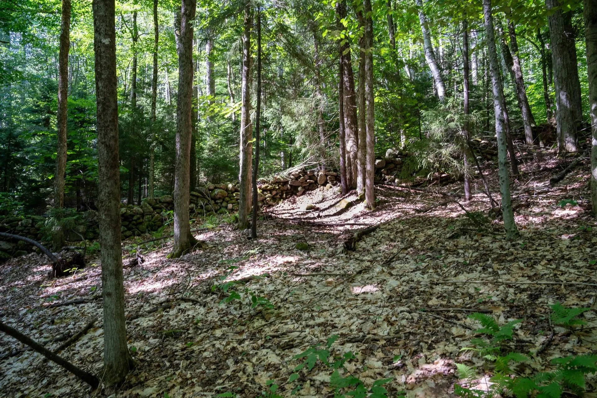 0 West Hill Road South Jamaica VT 05343